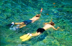 Snorkeling in Catalina